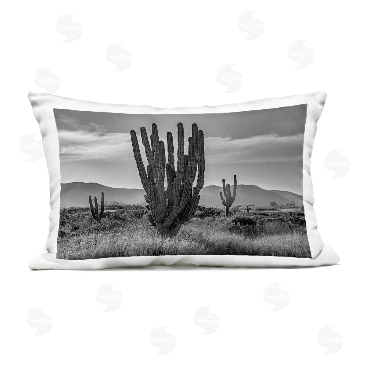 Norm Stelfox Cactus Sunset in Monochrome Plush Polyester Art Print Pillow