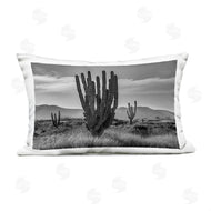 Norm Stelfox | Cactus Sunset in Monochrome