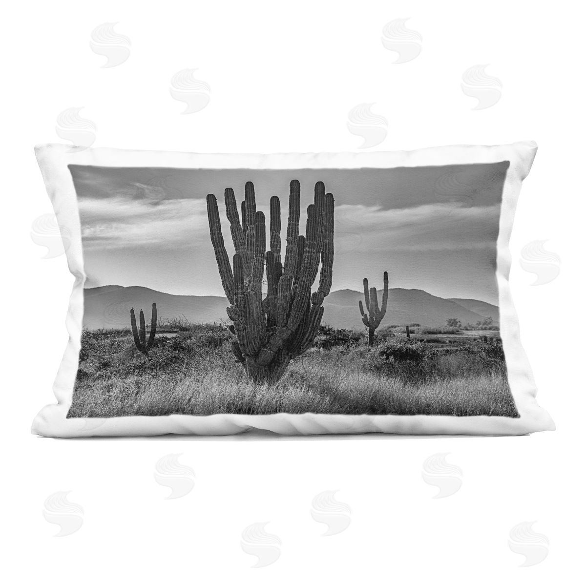 Norm Stelfox Cactus Sunset in Monochrome Plush Polyester Art Print Pillow