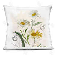 Jacob Q | Pure Simplicity Daisies