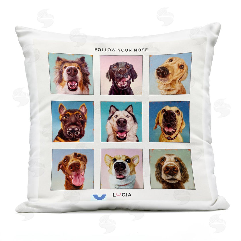 Lucia Heffernan | Follow Your Nose Dogs