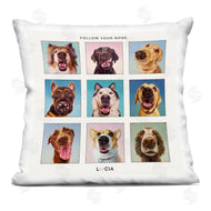 Lucia Heffernan | Follow Your Nose Dogs