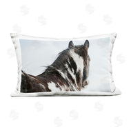 Amy Carroll | Winter Herd Horse Portrait