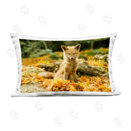 Carrie Ann Grippo-Pike | Sleepy Fall Fox in Autumn