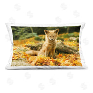 Carrie Ann Grippo-Pike | Sleepy Fall Fox in Autumn