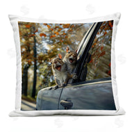 Jim Baldwin | Funny Squirrel Truck