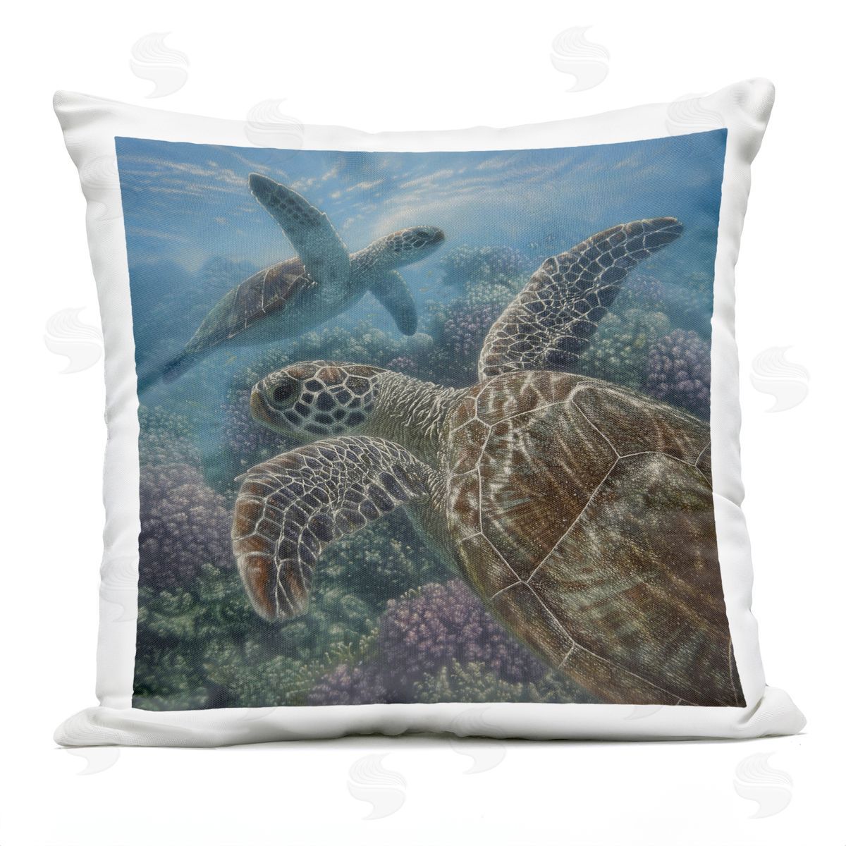 Collin Bogle Turtle Bay over Reef Plush Polyester Art Print Pillow