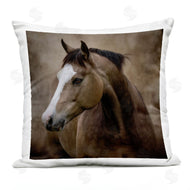 Kelley Parker | Noble Silence Horse