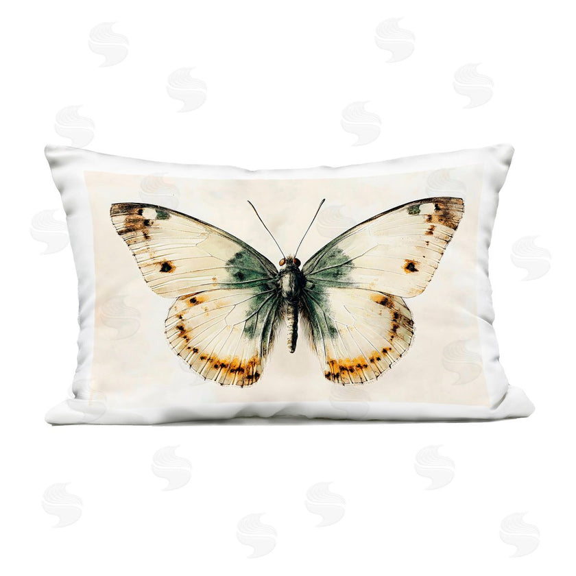 Creative Studio | Moth Study Symmetry