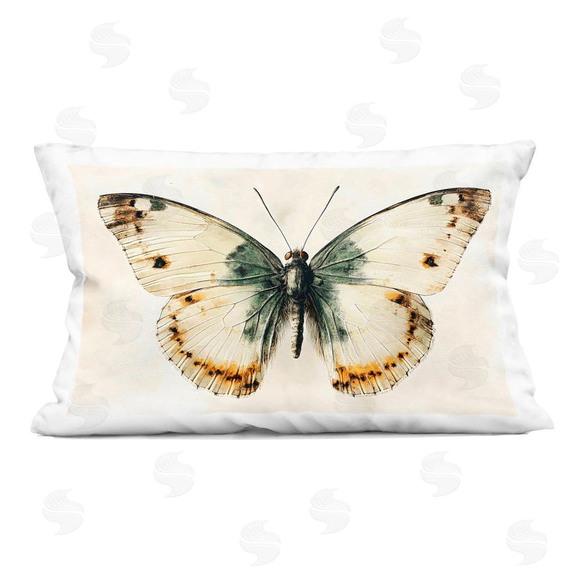 Creative Studio | Moth Study Symmetry