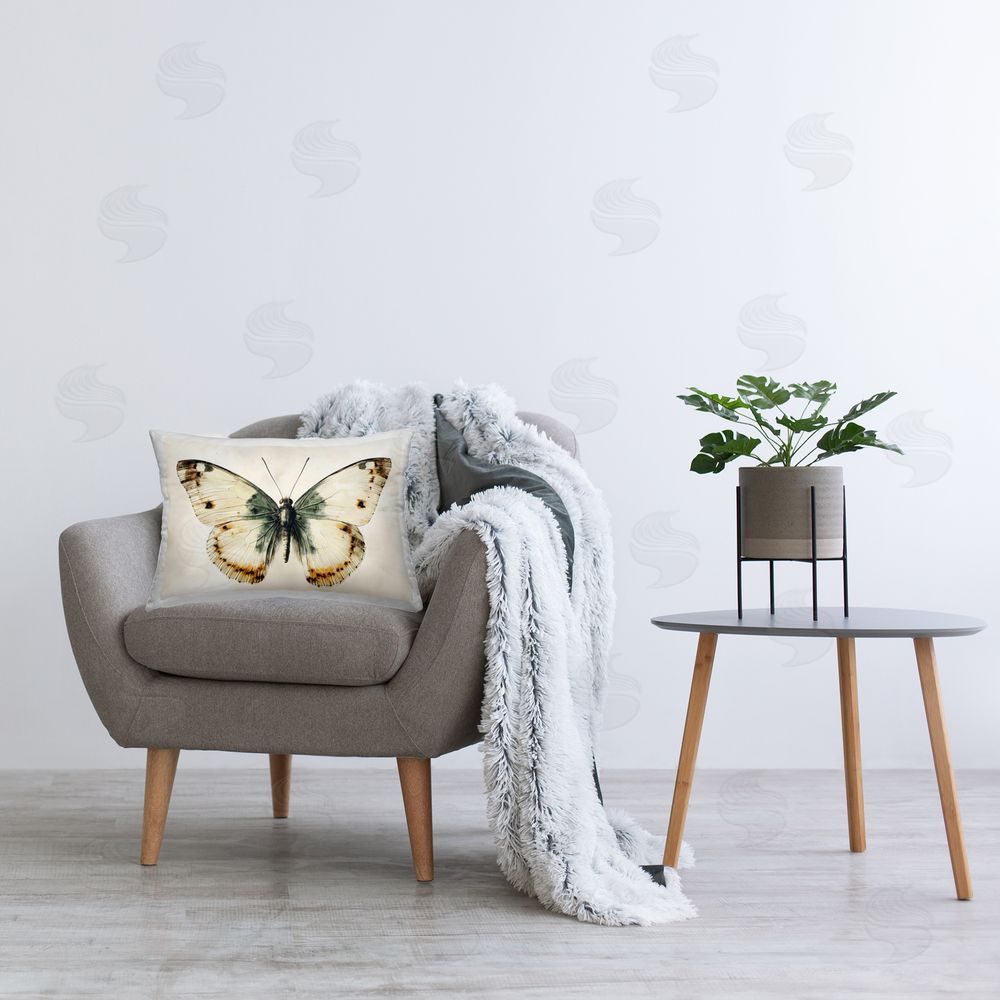 Creative Studio Moth Study Symmetry Indoor Rectangular Pillow on Chair