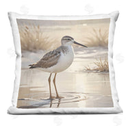 Susan Arnot | Sunlit Sandpiper in Shallow Water