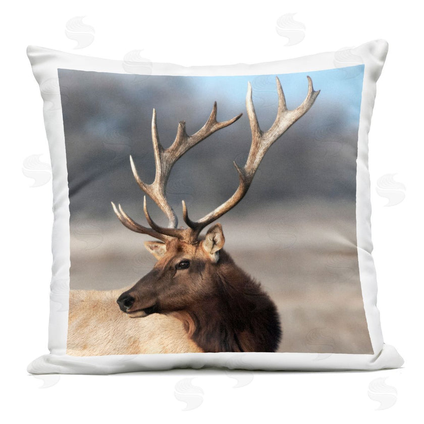 Danita Delimont | Stunning Elk Portrait