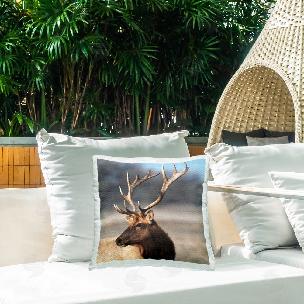 Danita Delimont Stunning Elk Portrait Outdoor Square Pillow on Patio