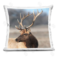 Danita Delimont | Stunning Elk Portrait