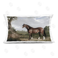 Corinne Haig | Majestic Equine Nature Portrait
