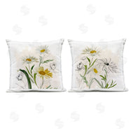 Jacob Q | Pure and Simple Daisies