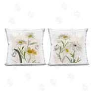 Jacob Q | Pure and Simple Daisies