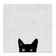 Jon Bertelli | Black Cat Peeking From Below