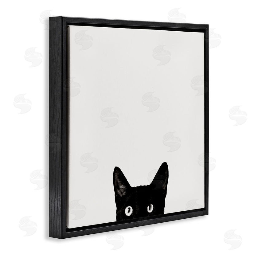 Jon Bertelli | Black Cat Peeking From Below