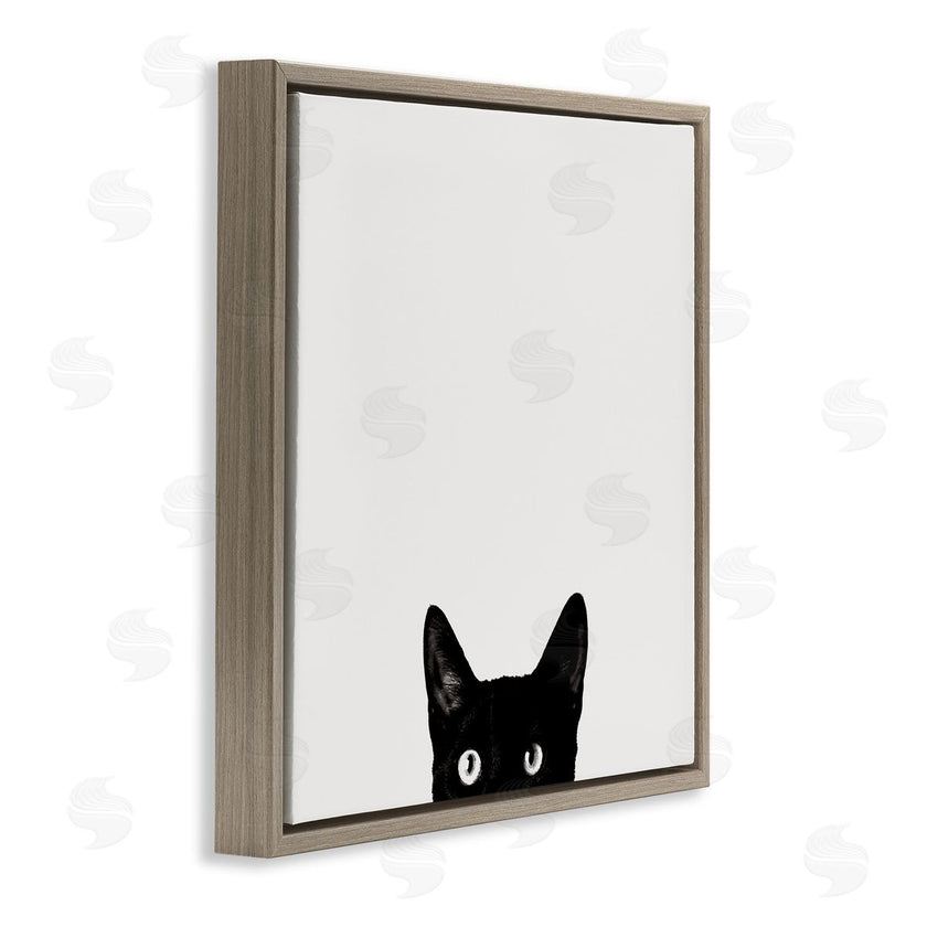 Jon Bertelli | Black Cat Peeking From Below
