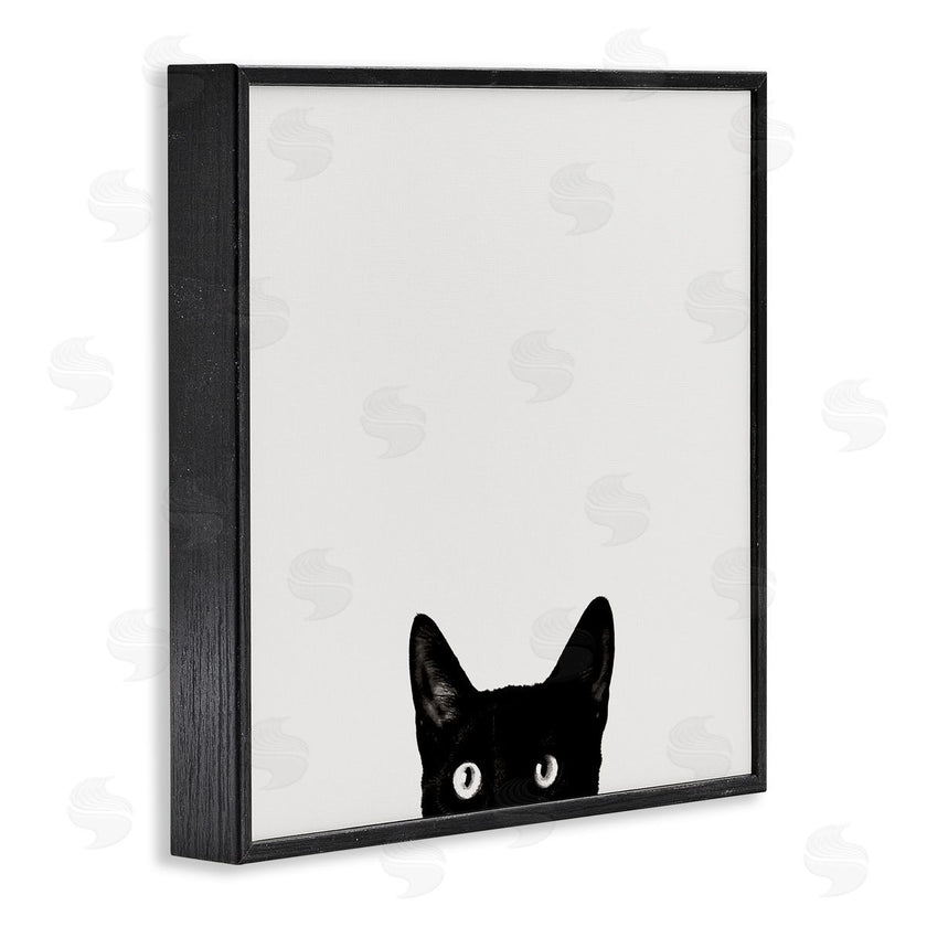 Jon Bertelli | Black Cat Peeking From Below
