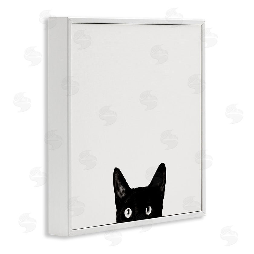 Jon Bertelli | Black Cat Peeking From Below