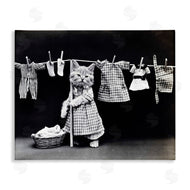 Stupell Studio | Kitten Does The Laundry