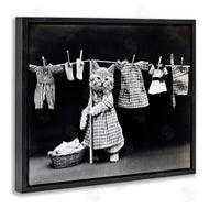 Stupell Studio | Kitten Does The Laundry