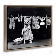 Stupell Studio | Kitten Does The Laundry