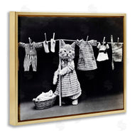 Stupell Studio | Kitten Does The Laundry