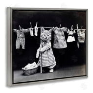 Stupell Studio | Kitten Does The Laundry