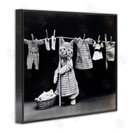 Stupell Studio | Kitten Does The Laundry
