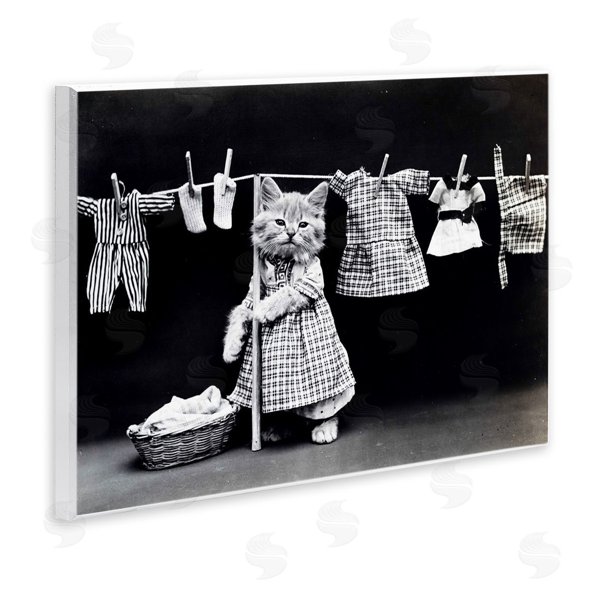 Kitten Does The Laundry Wood Plaque Wall Art, Home Decor by Stupell Studio