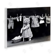 Stupell Studio | Kitten Does The Laundry